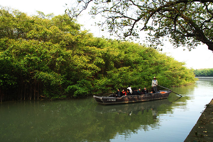 【典·温泉】台山2天＊花季限定＊打卡千亩芦荟花海＊参观梅家大院＊入住康桥温泉度假村＊湛江往返＜无限次浸泡露天温泉，品尝特色芦荟美容餐＞