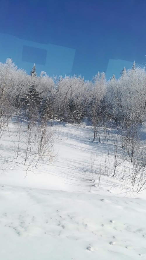 广州到吉林6日游路线 典 深度 东北 雪乡 哈尔滨 吉林 沈阳 双飞6天 万科松花湖度假区 全天不限时滑雪 入住2晚万科 冰雪奇缘 广之旅