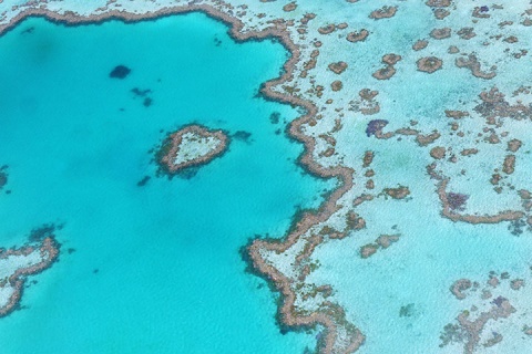 澳洲8天.连住三晚汉密尔顿岛.外堡礁.纯玩.浪漫白天堂沙滩