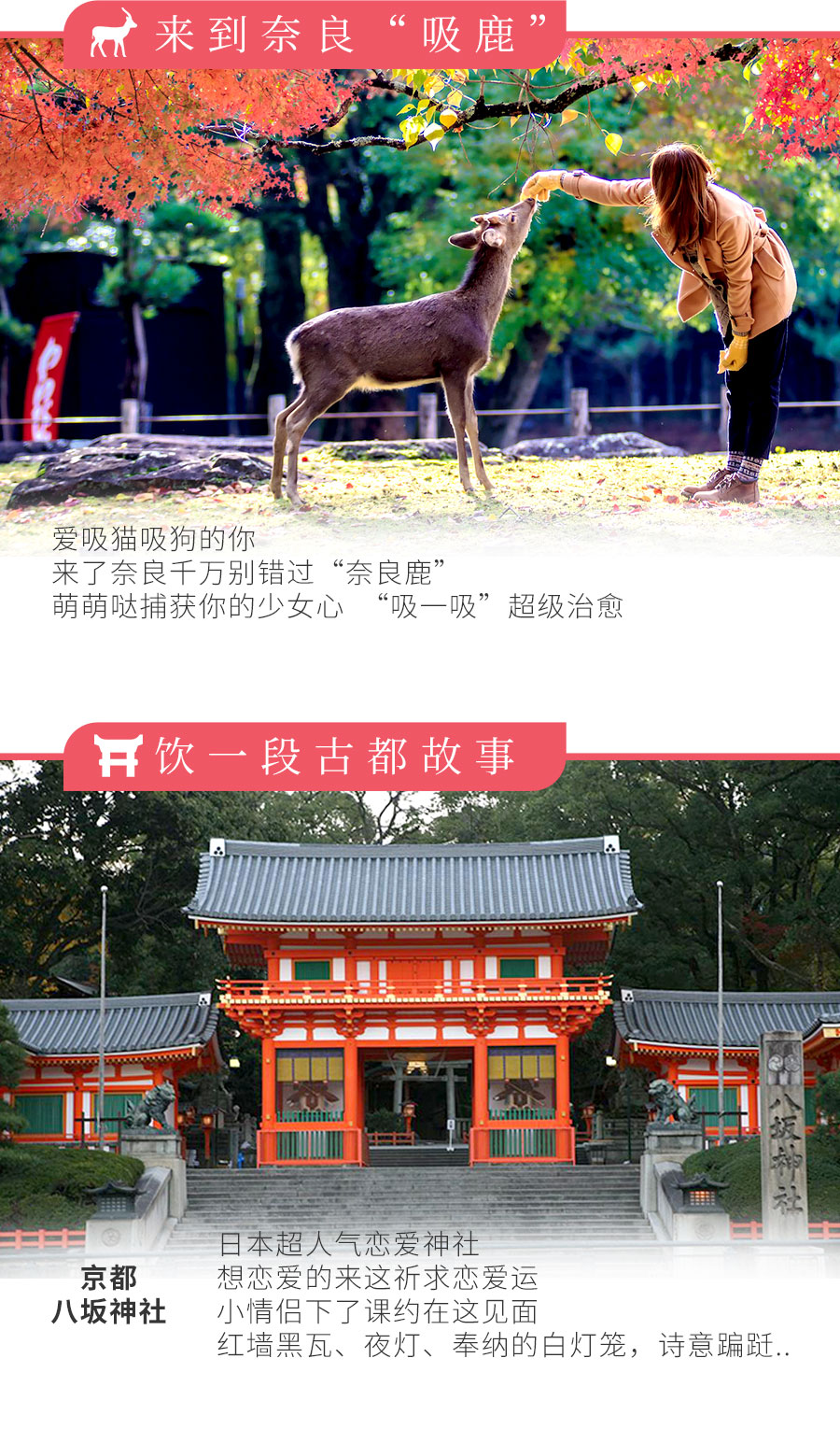 春促爆款-日本本州_03.jpg