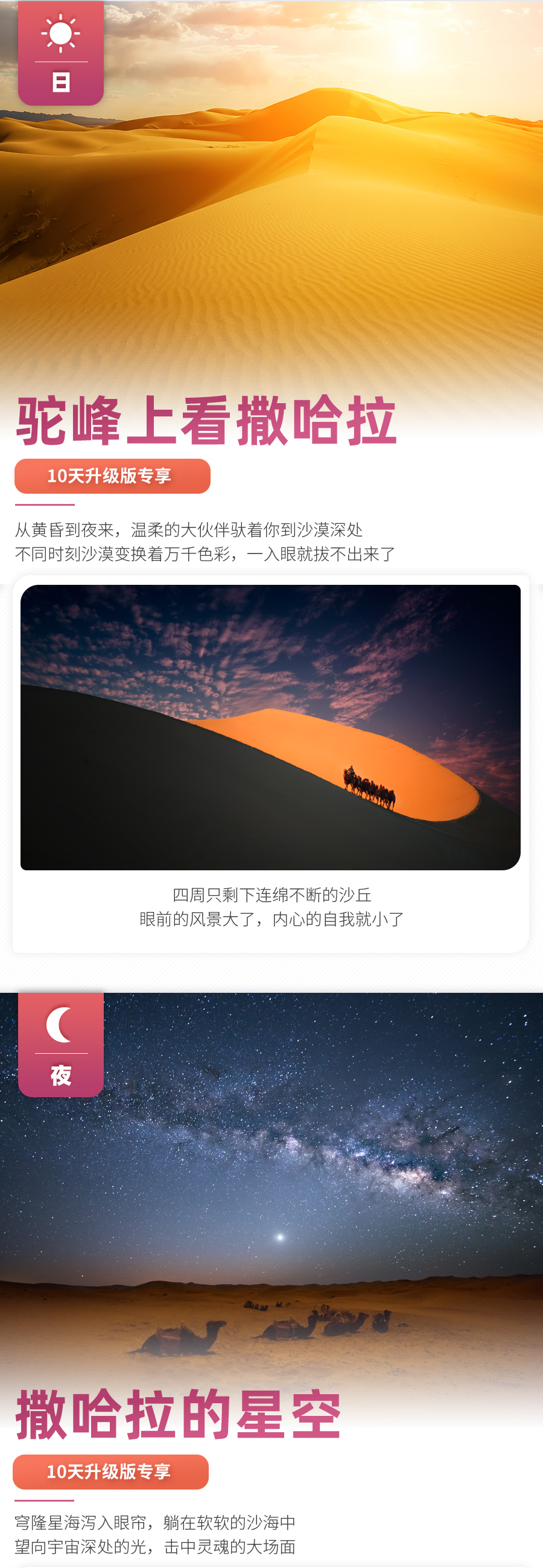 mo2_4_02.jpg