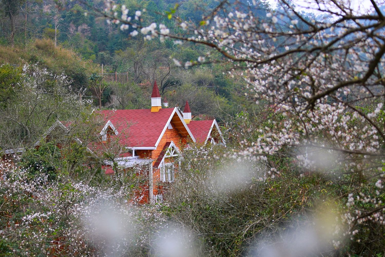 【尚·生态】新兴3天＊住进风景里天露山度假村＊高山野杜鹃花海＊国恩寺藏佛坑＊梦回盛唐 禅域小镇＊央视推荐惠能传奇盛演＜品当地特色餐，含2正2早，无限次山水温泉，纯玩系列＞