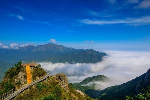 【典·生态】阳山,连山3天*金子山高山映山红*高山金元宝*广东峡天下*