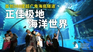 广州正佳极地海洋世界 儿童票【日场】（即买即用）