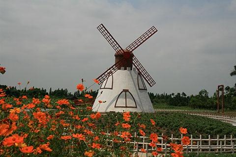 【花城看花】番禺1天＊百万葵园＊宝墨园