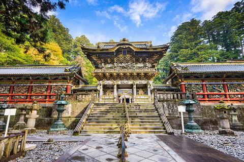 【颂·深度】日本赏樱限定、东京、茨城、枥木、群马、川越6天＊梦幻花海＊世遗之旅＊网红矶丸水产海鲜烧＜三大赏樱胜地，水户偕乐园，世遗日光东照宫＞