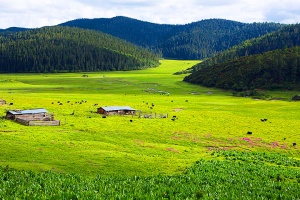 香格里拉旅遊-香格里拉旅遊價格-香格里拉旅遊最佳路線-廣州廣之旅