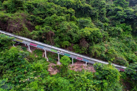 【跟团游】清远3天＊体验全新开业清远长隆度假区  近距离动物互动、 畅玩摩天轮、机动游戏、＊品清远河鲜宴，清远鸡煲＊湛江往返＜超值预售＞