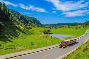 【尚·全景】重庆武隆、重庆双飞／双动5天＊仙女山天坑三桥银杏＊大足石刻祈福＊南湖红枫游船＊双赏山城夜景＊游轮夜景火锅＜大足升级超豪华酒店，金秋养生宴，纯玩＞