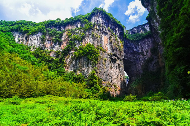 重庆-【典·深度】重庆武隆、重庆高铁/动车4天＊武隆仙女山草原波浪公路＊变形金刚天坑三硚＊打卡重庆网红夜景＊半山崖线风景线＊乐游＜2大特色宴，升级一晚重庆超豪华酒店＞