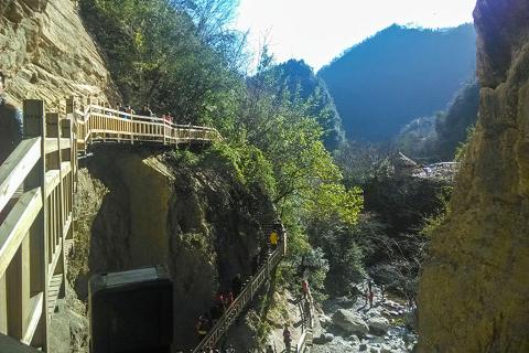 大洪山*神農架自然保護區*大九湖溼地公園*東湖聽濤*三峽大壩風景區