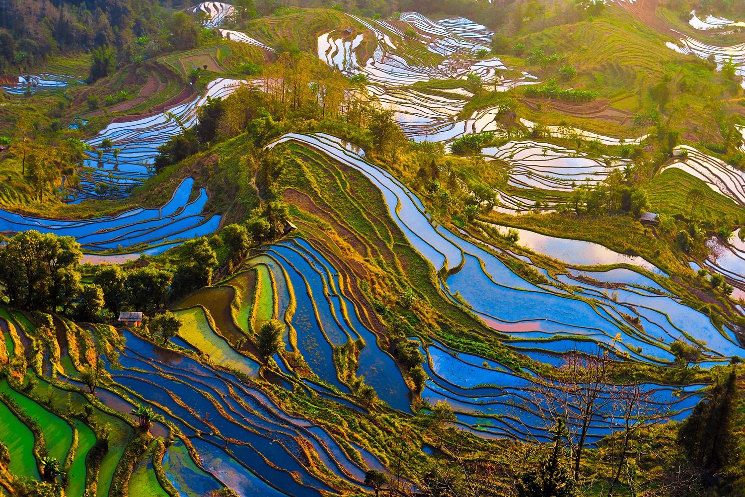 【双城花季漫游】昆明、西昌6天＊校场路蓝花楹＊物茂土林＊建昌古城＊建昌路蓝花楹＊邛海螺髻九十九里温泉＊等待确认＜从云南跨越四川，昆明，西昌每天都赏蓝花楹，轻松舒适，小众浪漫之旅＞