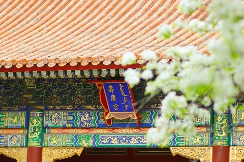 【爆款·尚·深度】北京双飞5天＊故宫紫禁繁花＊非遗中轴品京城花事＊御园游船赏春色＊八达岭长城品茗演艺＊京韵国粹缠花工艺DIY＜爆款抢购，全程4晚连住新酒店，花漾京城＞