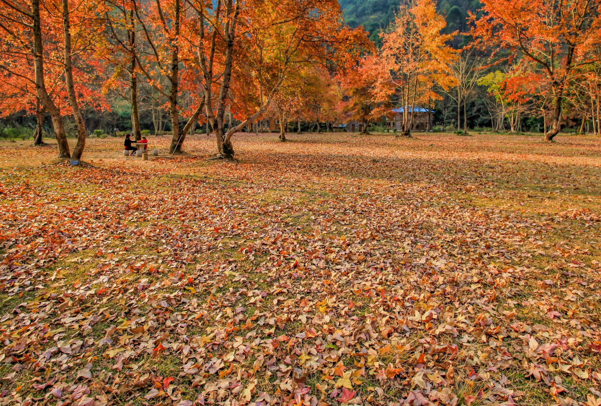 韶关灵溪河森林旅游渡假公园