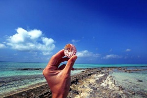 【探秘西沙＊船票套餐】西沙群岛4天3晚＊祥龙岛号＊南海之梦号＊船票代订＜全富岛＊银屿岛＊鸭公岛＊多元舱位随心选＊不含往返大交通＊等待确认＊1人起行＞