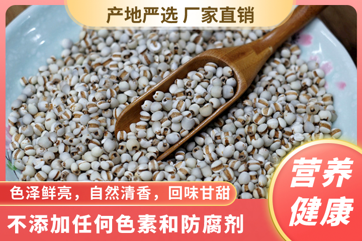 南宁-【广西南宁】精选土薏米