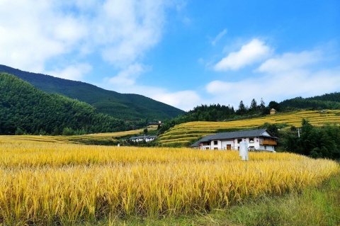 【典·休閒】江西,贛州崇義,上堡梯田,高鐵3天*純玩*國內三大秋色梯田