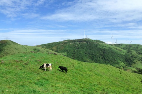 【避暑南山·好运通道】广西桂林、湖南邵阳、通道、动车4天＊南山牧场草原＊皇都侗寨＊万佛山＊通道转兵纪念馆＊象鼻山＜侗听皇都，篝火晚会，千人合拢宴，南山农家宴，喜来登欢迎晚宴＞