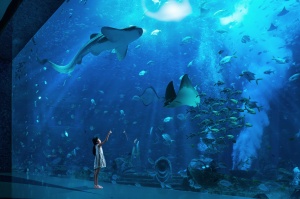 【三亚自由行】三亚往返4天＊三亚国光豪生度假酒店2晚＊亚特兰蒂斯海景房1晚＊广州始发＜章鱼部落乐玩家儿童活动，亚特兰蒂斯失落空间水族馆+水世界，二次确认＞