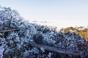 【典·温泉】郴州、高铁3天＊高椅岭＊莽山五指峰＊东江湖白廊乡＊泡森林养生温泉＜升级一晚莽山温泉酒店，含温泉养生宴＋2正餐＞