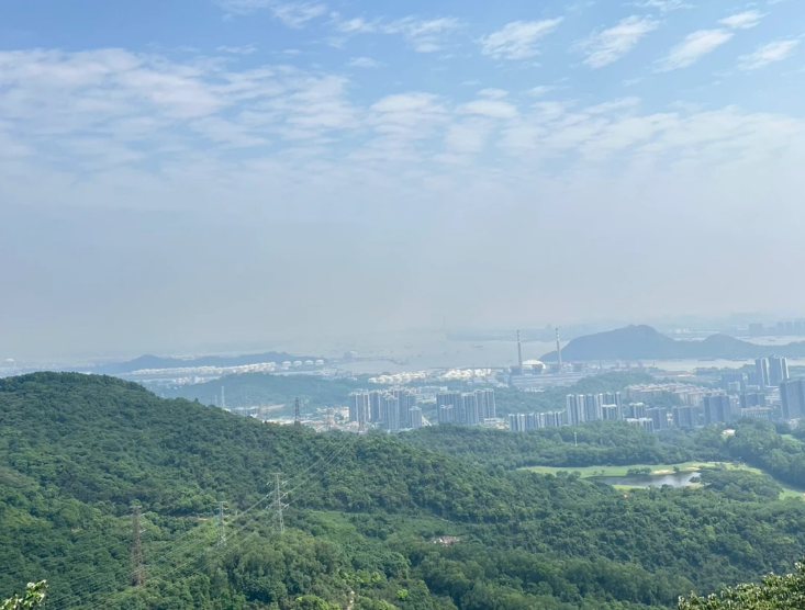 【生态】南沙1天＊万里碧道黄山鲁森林公园＊宝藏海鲜市场十四涌水产中心＊东涌绿道瓜果长廊＊午餐品蕉叶疍家粽每人1只＊南沙特产蕉叶粽八两每只＜赠送下午茶，品养生龟苓膏＞