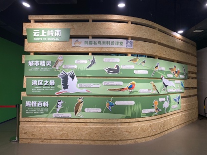 【亲子游】广州1天＊鸣春谷天然大鸟笼＊鸟类生物多样性科普馆＊趣味研学鸣星课堂＜研学课堂导师＞