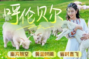 【爆款·尚·深度】呼倫貝爾、額爾古納、滿(mǎn)洲里、海拉爾直飛6天＊樺影隨行7大草原體驗(yàn)＊觀(guān)景臺(tái)賞莫爾格勒河＊星麓牧場(chǎng)＊中俄邊境線(xiàn)＜越野車(chē)穿越草原，太陽(yáng)花非遺手工，3大特色餐＋營(yíng)地野炊，贈(zèng)送航拍vlog，牧野星穹＞