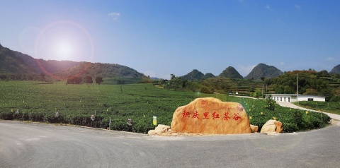 【休闲】清远英德1天＊幽香积庆里红茶谷＊国家工业遗产红旗茶厂＊茶香鸡特色餐＜含1正，幽香茶谷＞
