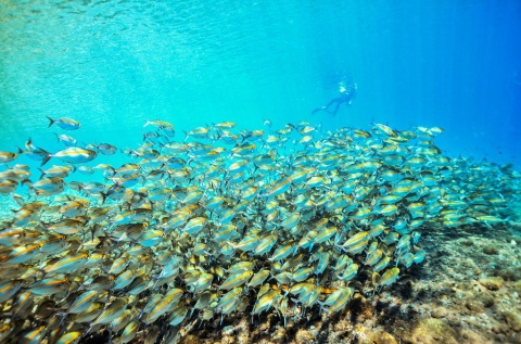 【圆梦南海】海南海口、儋州、三亚、西沙群岛、动车6天＊全富岛＊银屿岛＊鸭公岛＊三沙灯塔＊海花岛＜西沙行签名活动，一晚海口超豪华酒店，直升机飞行体验，赠送西沙旅游纪念证书，参加升国旗仪式＞