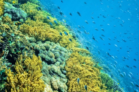 【圆梦南海】海南海口、儋州、三亚、西沙群岛、动车6天＊全富岛＊银屿岛＊鸭公岛＊三沙灯塔＊海花岛＜西沙行签名活动，一晚海口超豪华酒店，直升机飞行体验，赠送西沙旅游纪念证书，参加升国旗仪式＞