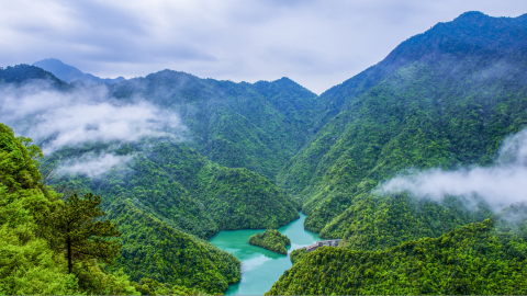 【尚·深度】抚州、宜春、赣州、高铁5天＊大觉山＊全国首条悬崖高铁＊夜明珠博物馆＊长寿龟峰＊流坑古村灯光秀＜三晚夜宿风景里，品宋府盛宴＋长寿宴＋药膳宴，泡富硒温泉，乐游＞